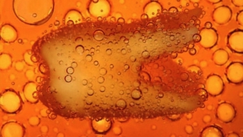 zub kola1